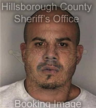 Edgar Pinto, - Hillsborough County, FL 