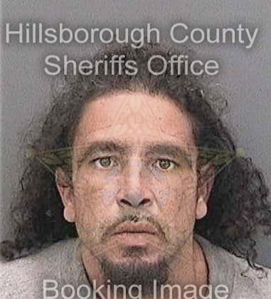 Jeffrey Davies, - Hillsborough County, FL 