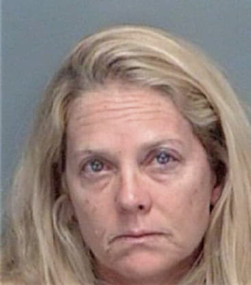 Roxann Dipaolo, - Pinellas County, FL 