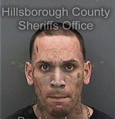 Luis Molina, - Hillsborough County, FL 