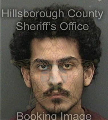 Raul Moralesrodriguez, - Hillsborough County, FL 