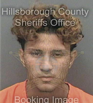 Bobby Workman, - Hillsborough County, FL 