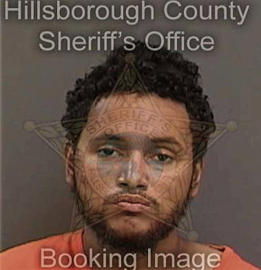 Samuel Arizmendi, - Hillsborough County, FL 