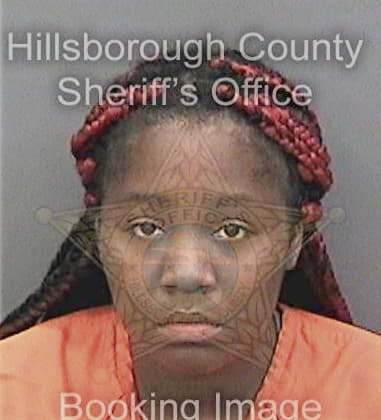 Karnisha Bostick - Hillsborough County, FL 