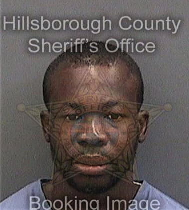 Kevin Honor, - Hillsborough County, FL 