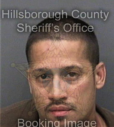 Manuel Martinez, - Hillsborough County, FL 