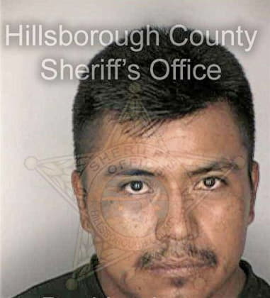 Gregory McHugh - Hillsborough County, FL 