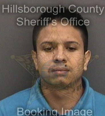 Steven Phillips, - Hillsborough County, FL 