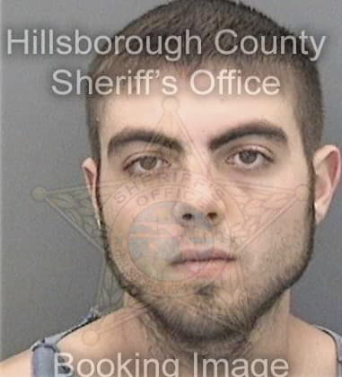 Ryan Beauchamp, - Hillsborough County, FL 