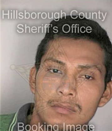 Bleu Briggs - Hillsborough County, FL 