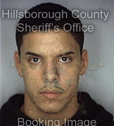Michael Cheresne - Hillsborough County, FL 