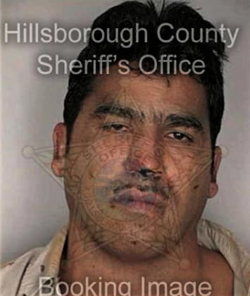 Raul Fleiteslorenzo, - Hillsborough County, FL 