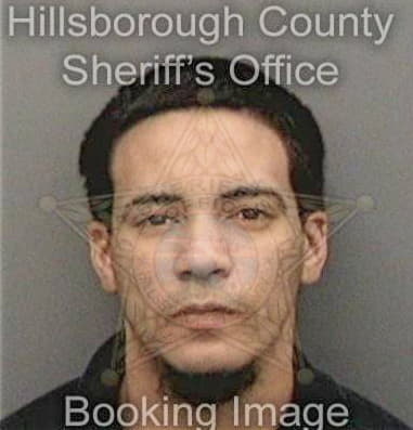 Vidal Martinez, - Hillsborough County, FL 