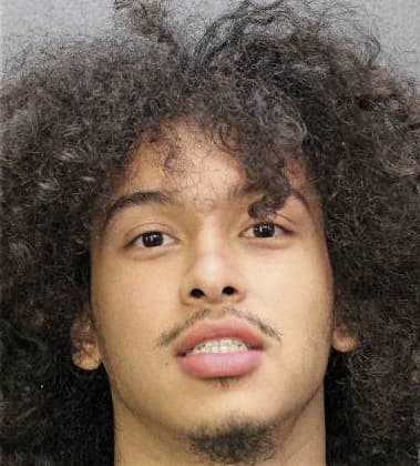 Bryan Martinez-Rivera, - Broward County, FL 