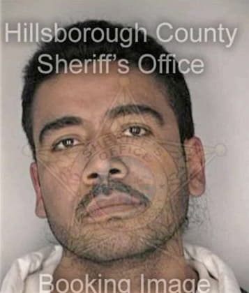 Michael McBride - Hillsborough County, FL 