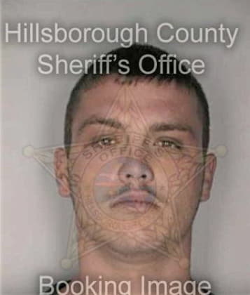 Domingo Perezmendez, - Hillsborough County, FL 