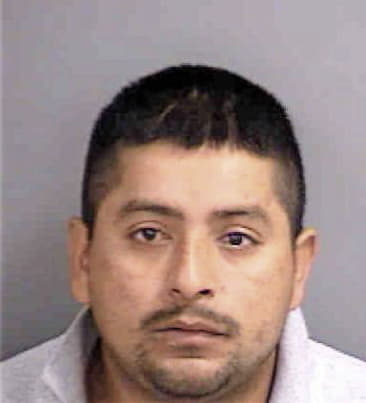 Victor Romanoavila, - Collier County, FL 