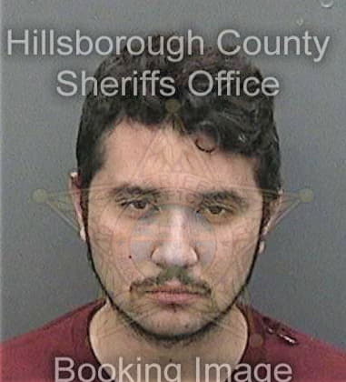 Daniel Swilley, - Hillsborough County, FL 