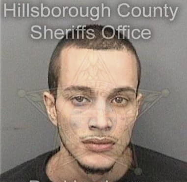 Davila-Jr Uvaldo, - Hillsborough County, FL 