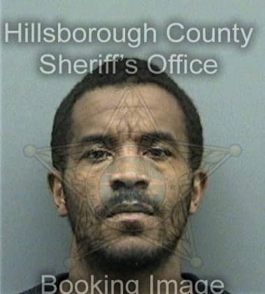 Tarique Brydson, - Hillsborough County, FL 