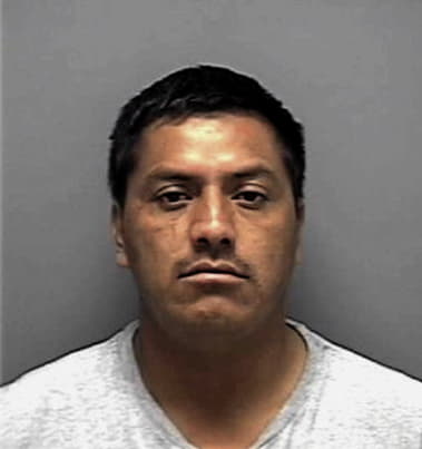 Rafael Dominguez-Velez, - Lee County, FL 