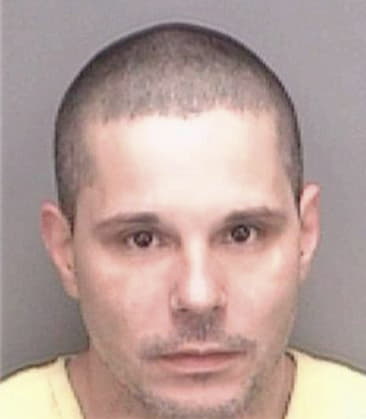 Alexander McGuire - Pinellas County, FL 