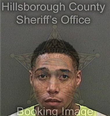 David Robinson - Hillsborough County, FL 