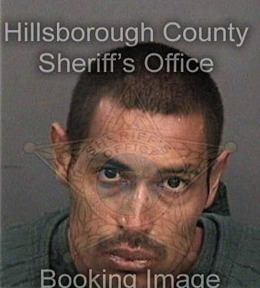 Melvin Rosa-Viera, - Hillsborough County, FL 