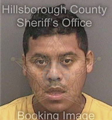 Daniel Bernstein, - Hillsborough County, FL 