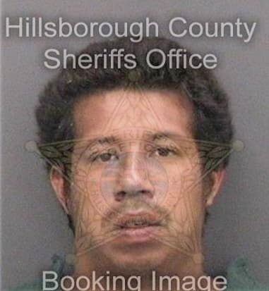 Orestes Garcia, - Hillsborough County, FL 