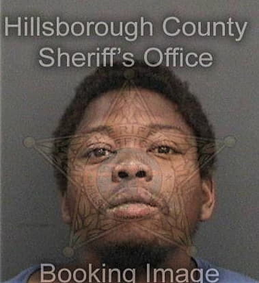 Michael Hunt, - Hillsborough County, FL 