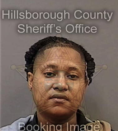 Cedriona Jenkins, - Hillsborough County, FL 