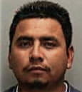 Daniel Marez, - Manatee County, FL 