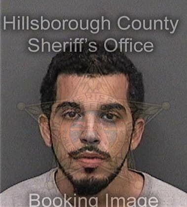 Pedro Mojicaclaudio, - Hillsborough County, FL 