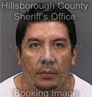 Timothy Roach - Hillsborough County, FL 