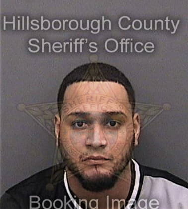 Diego Zuluaga, - Hillsborough County, FL 