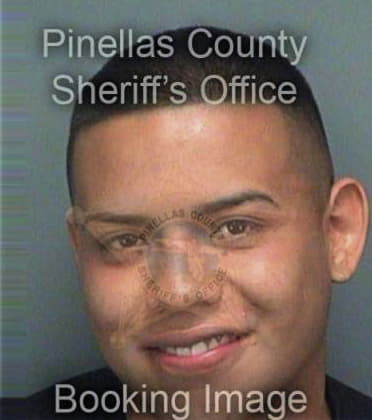 Cesar Alcivar, - Pinellas County, FL 