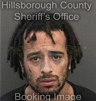 Tyrone Ellison, - Hillsborough County, FL 