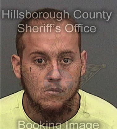 Domonick Fulton, - Hillsborough County, FL 