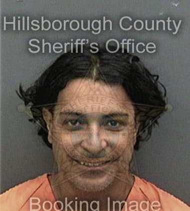 Jose Hernandezmartinez - Hillsborough County, FL 