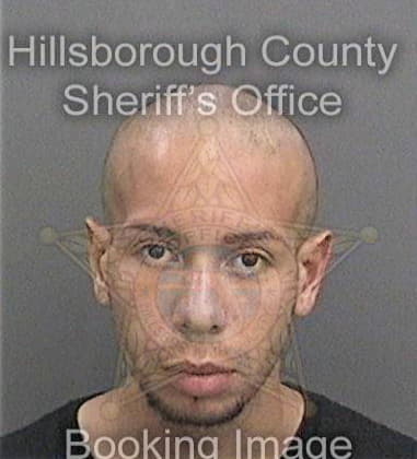 Jeremy Lapuyade, - Hillsborough County, FL 