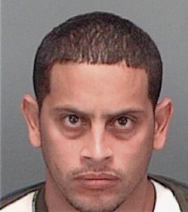 Alan Martinez, - Pinellas County, FL 