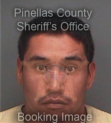 Herman Vazquezpadilla, - Pinellas County, FL 