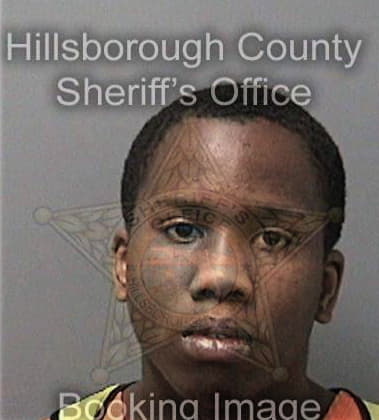 Cornelious Watson, - Hillsborough County, FL 