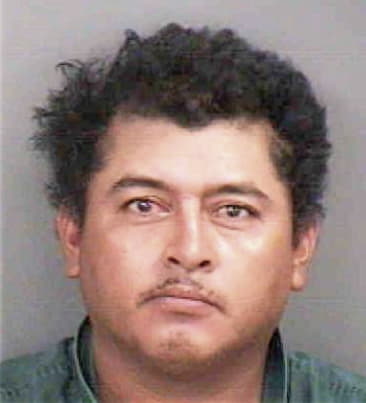 Sergio Arredoado, - Collier County, FL 