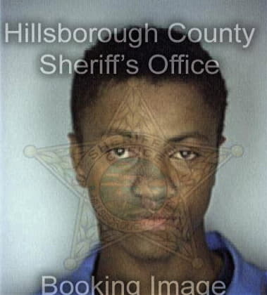 Richard Briggs - Hillsborough County, FL 