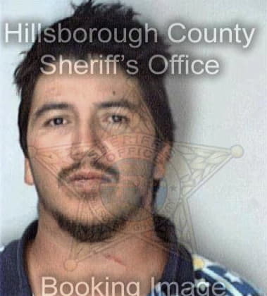 Jesus Hernandez - Hillsborough County, FL 