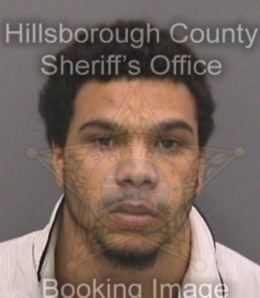 Reginald Landers, - Hillsborough County, FL 