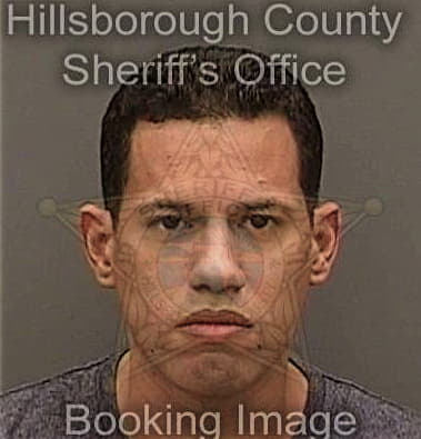Luis Rivera-Castro - Hillsborough County, FL 