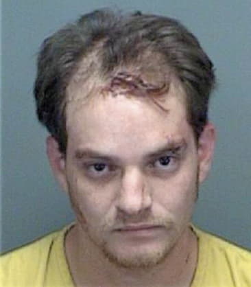 Kenneth Simpson - Pinellas County, FL 